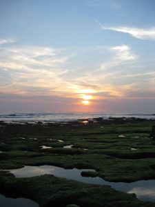 sunset2canggu Sunset Canggu Bali