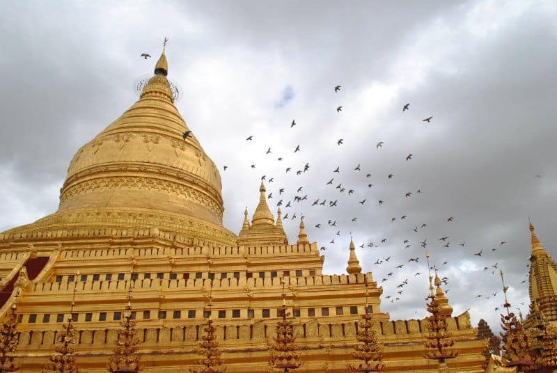 Birds flying over a temple in Bagan Myanmar
